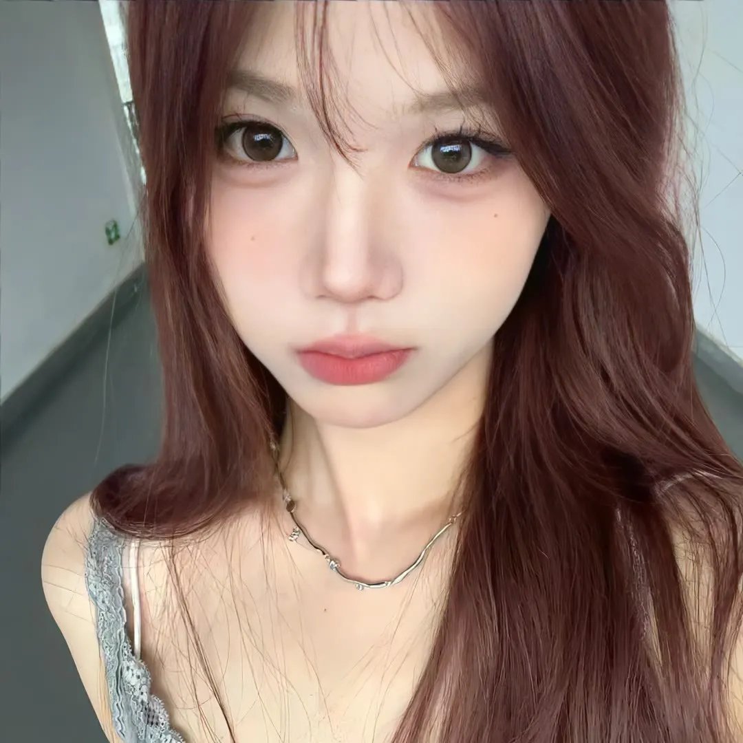 菊石