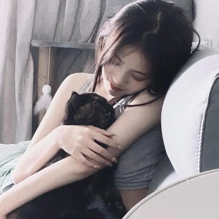 猪猪侠·一只老猪的逆袭